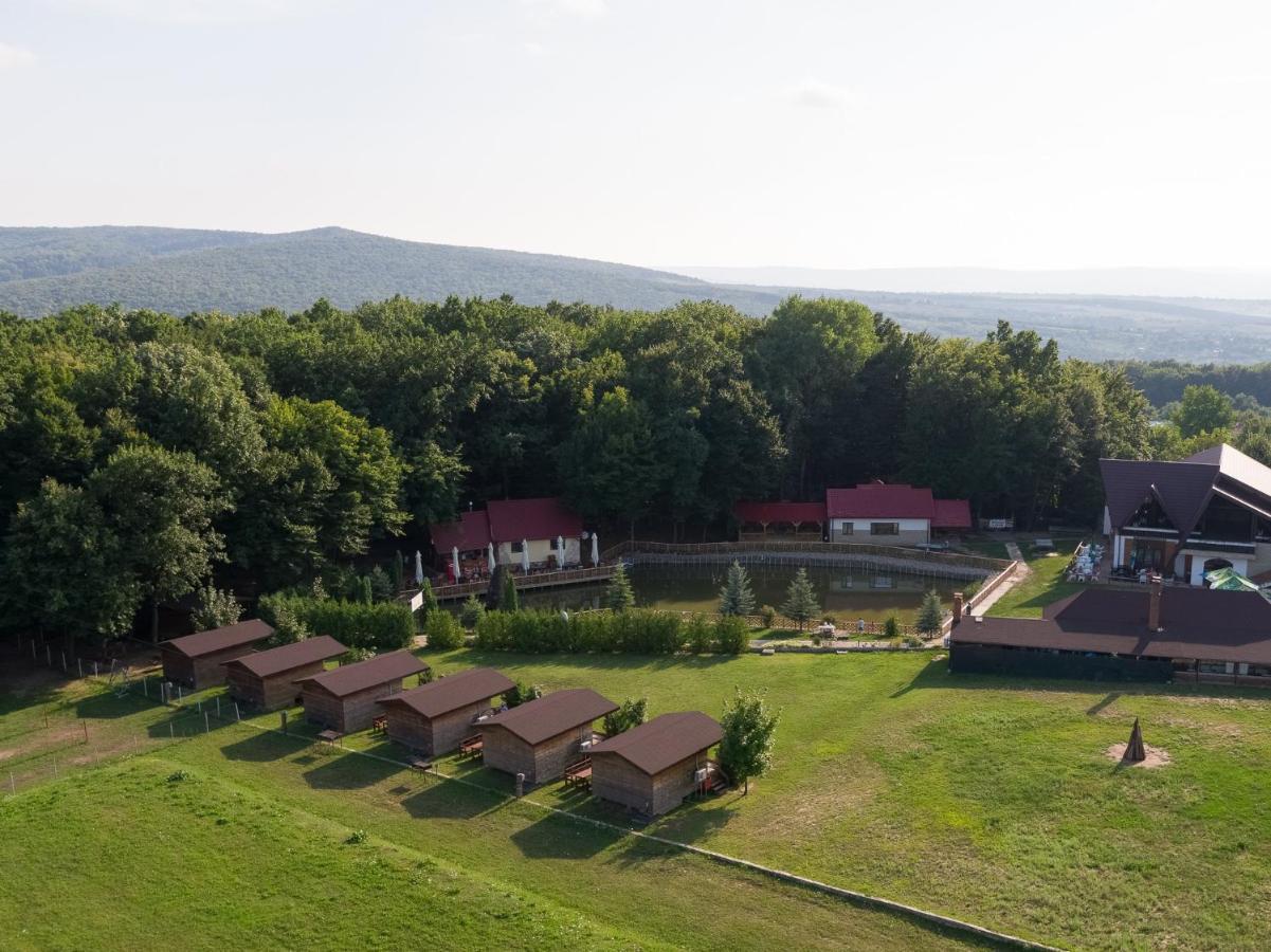 Complex Hamak Hotel Iasi Bagian luar foto