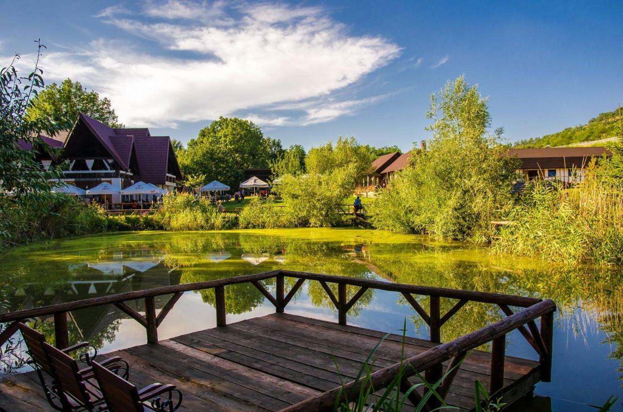 Complex Hamak Hotel Iasi Bagian luar foto