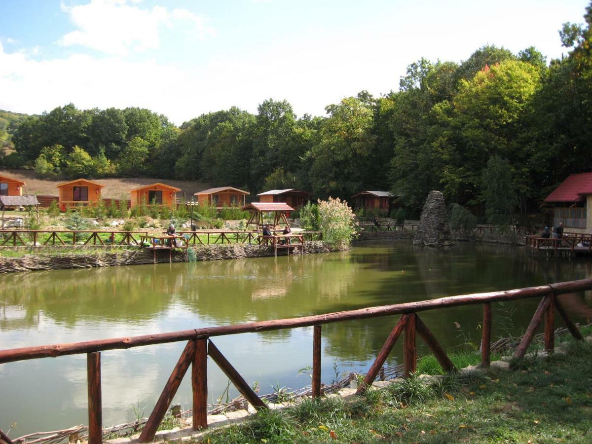 Complex Hamak Hotel Iasi Bagian luar foto