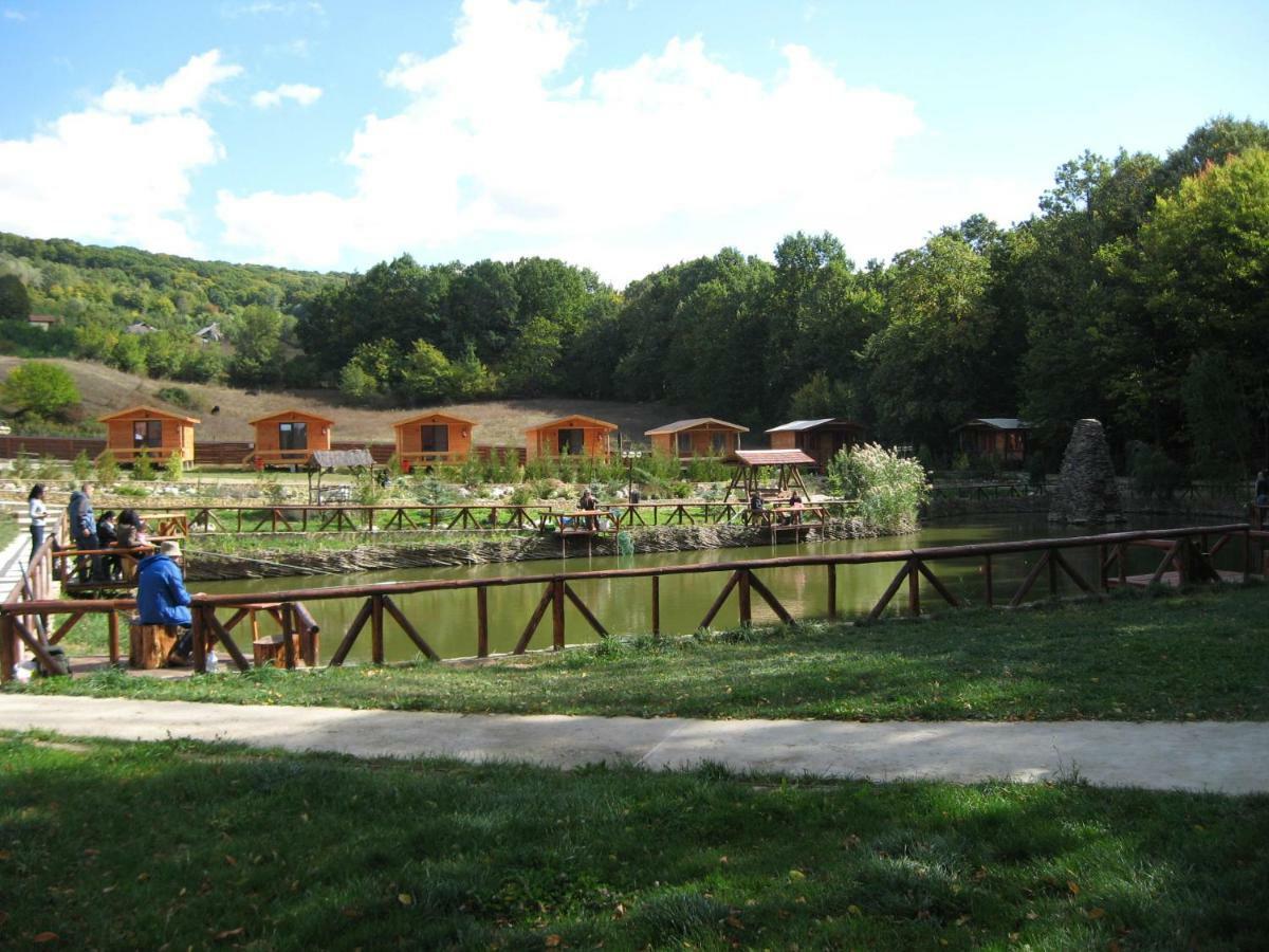 Complex Hamak Hotel Iasi Bagian luar foto